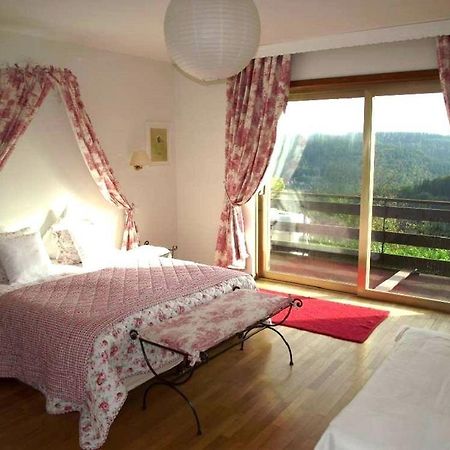 Villa Du Lion D'Or La Petite-Pierre Bilik gambar