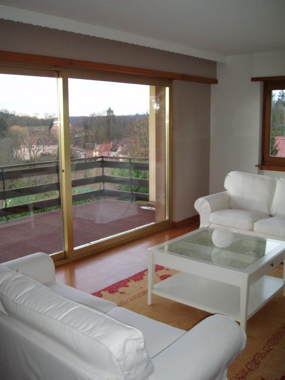 Villa Du Lion D'Or La Petite-Pierre Bilik gambar